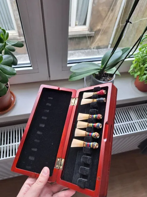 1pcs Bassoon Reed Storage Case - مراجعة Musical Instrument Bassoon وسعره
