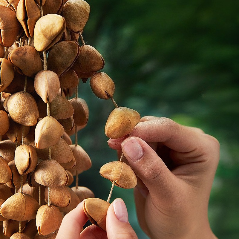Nutshell Hand Bell Sound Heali - مراجعة Celesta Musical Instrument وسعره