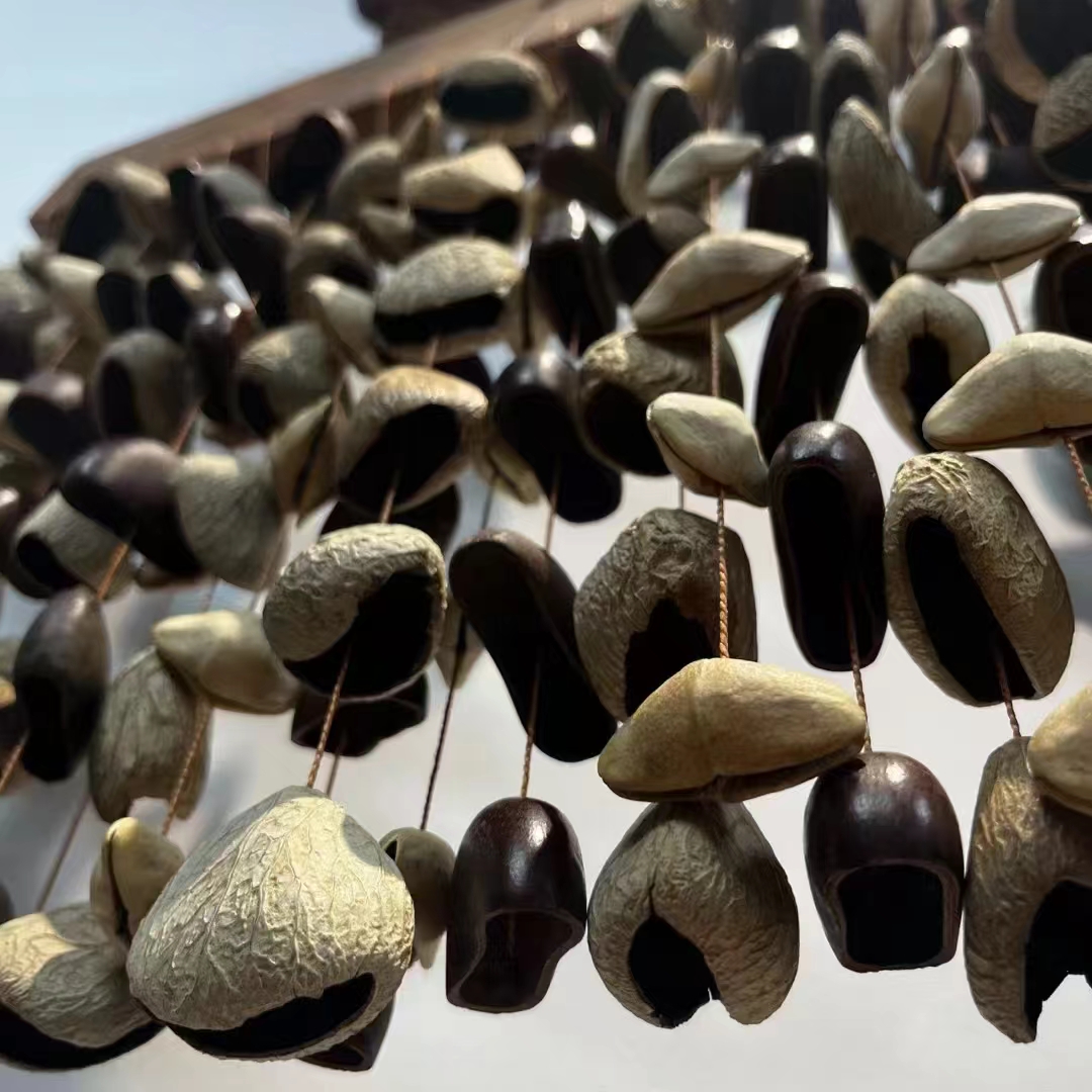 Fruit Shell Meditation Chimes  - مراجعة Musical Instrument Rattle وسعره