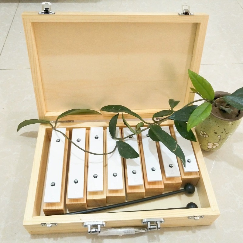 8 Tone Sound Brick with Wooden - مراجعة Celesta Musical Instrument وسعره
