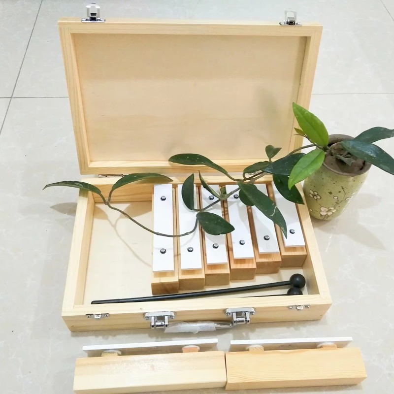 8 Tone Sound Brick with Wooden - مراجعة Celesta Musical Instrument وسعره
