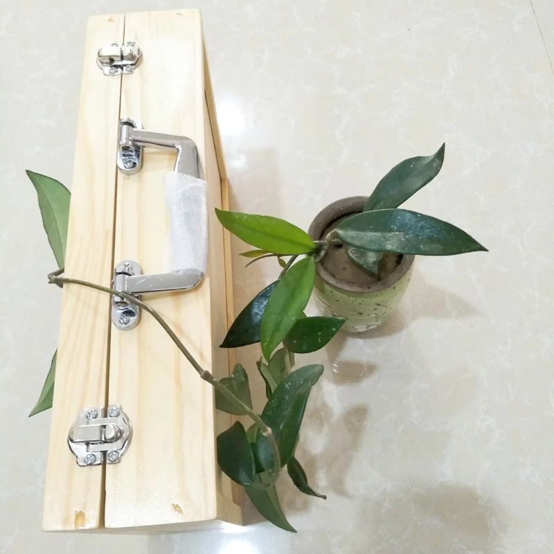 8 Tone Sound Brick with Wooden - مراجعة Celesta Musical Instrument وسعره
