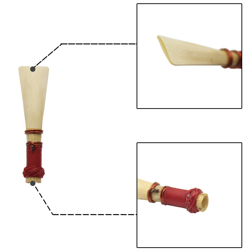 Bassoon Reed Natural Reed Indi - مراجعة Musical Instrument Bassoon وسعره